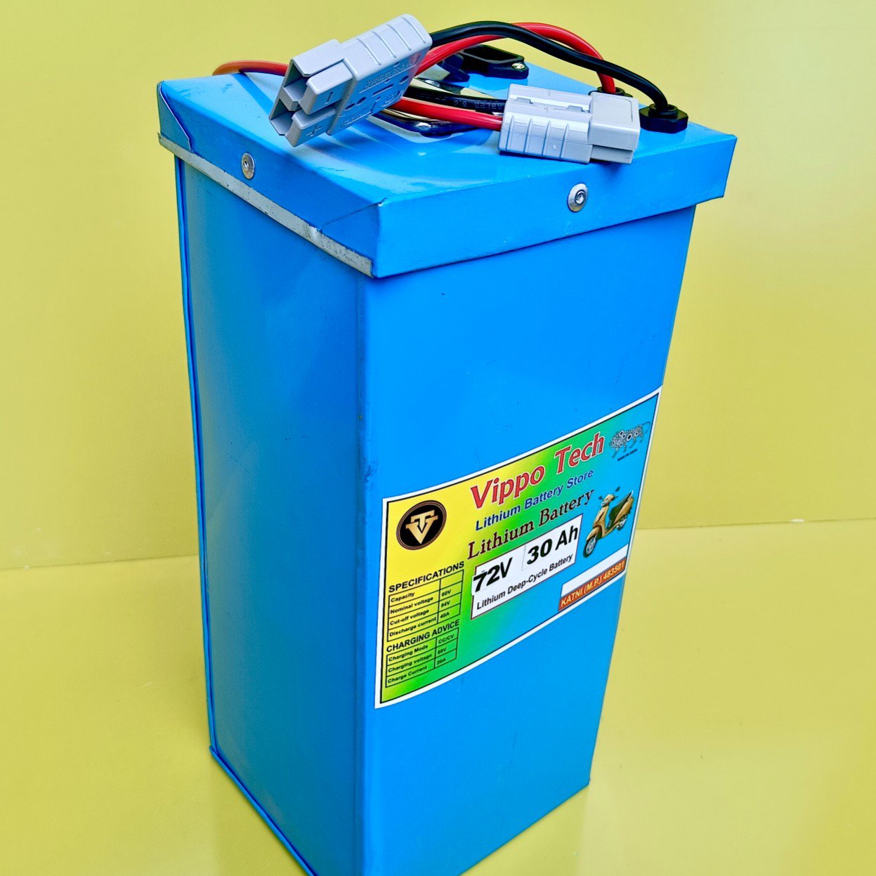 72V 30Ah LITHIUM-ION BATTERY (20s)